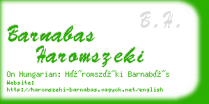 barnabas haromszeki business card